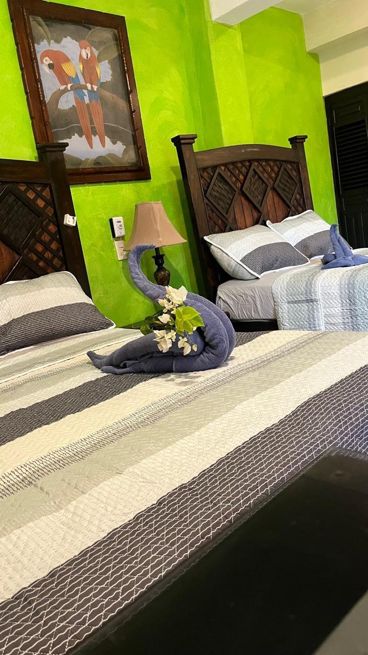 Pelicano